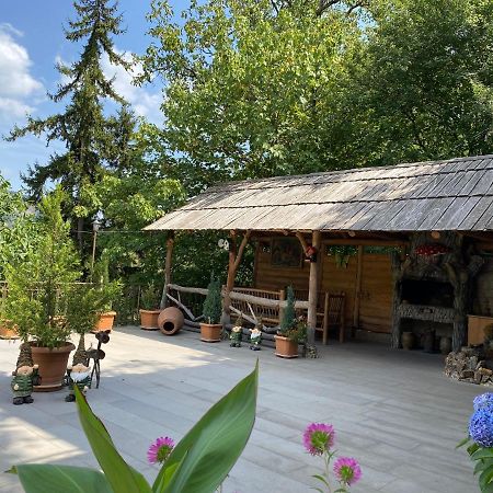 Anano'S Guesthouse Боржомі Екстер'єр фото
