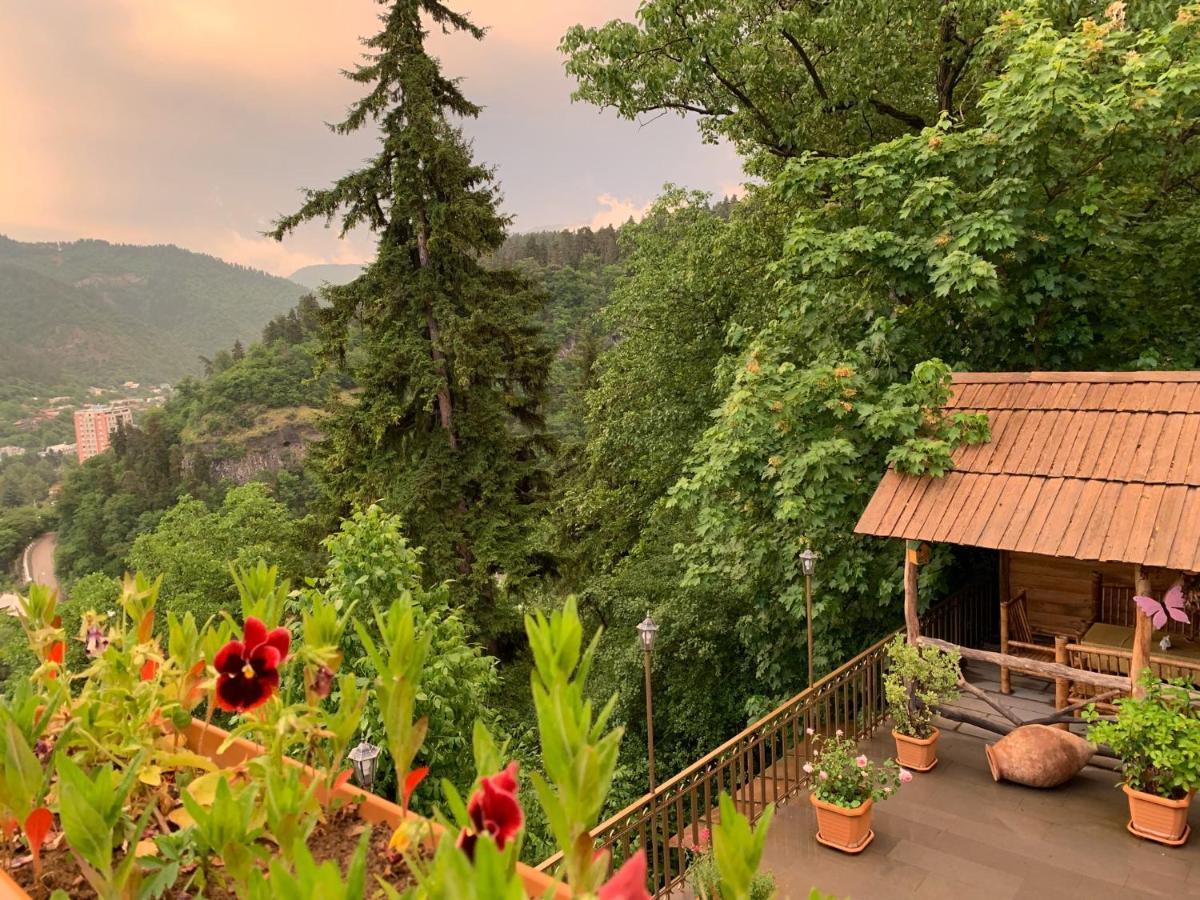 Anano'S Guesthouse Боржомі Екстер'єр фото