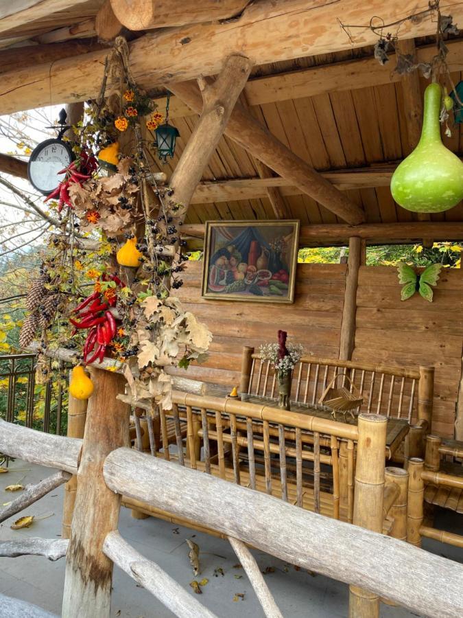 Anano'S Guesthouse Боржомі Екстер'єр фото