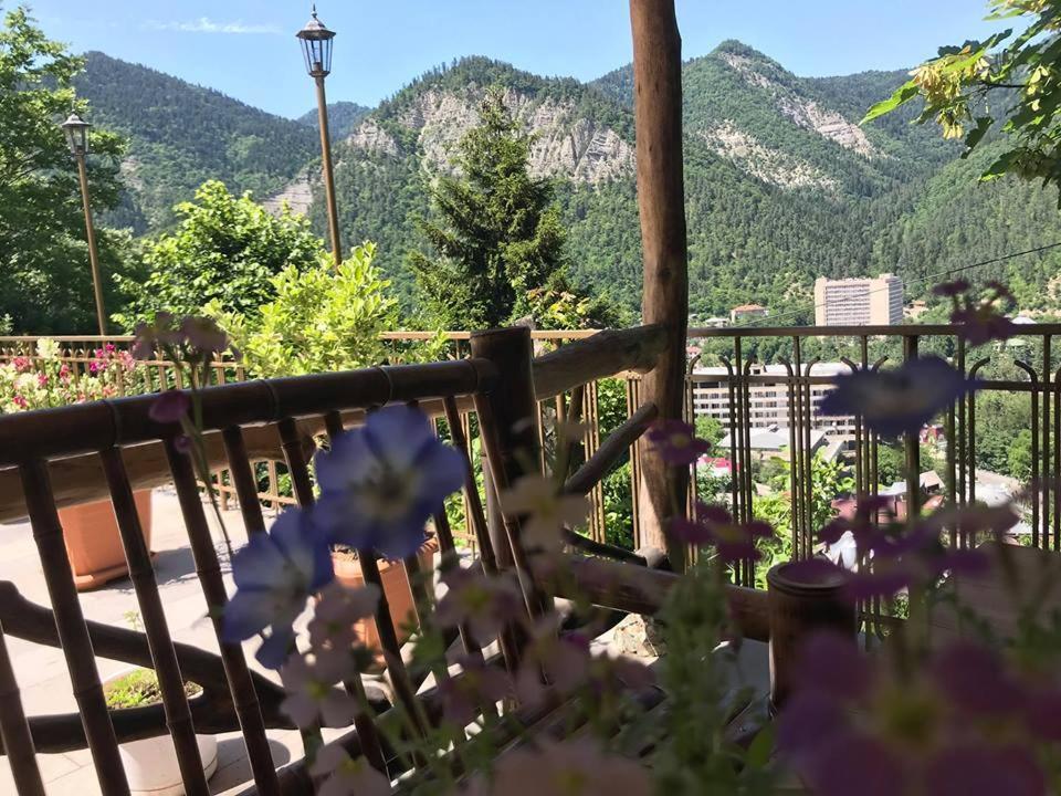 Anano'S Guesthouse Боржомі Екстер'єр фото
