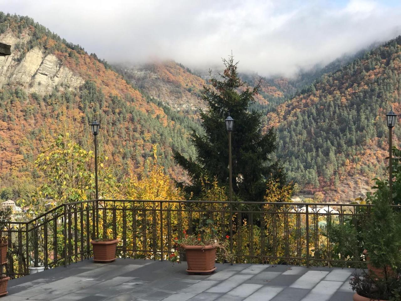Anano'S Guesthouse Боржомі Екстер'єр фото